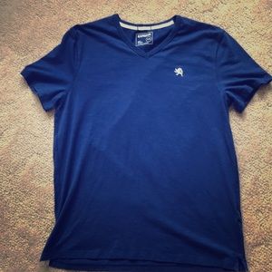 Express Lion Mens V-Neck
